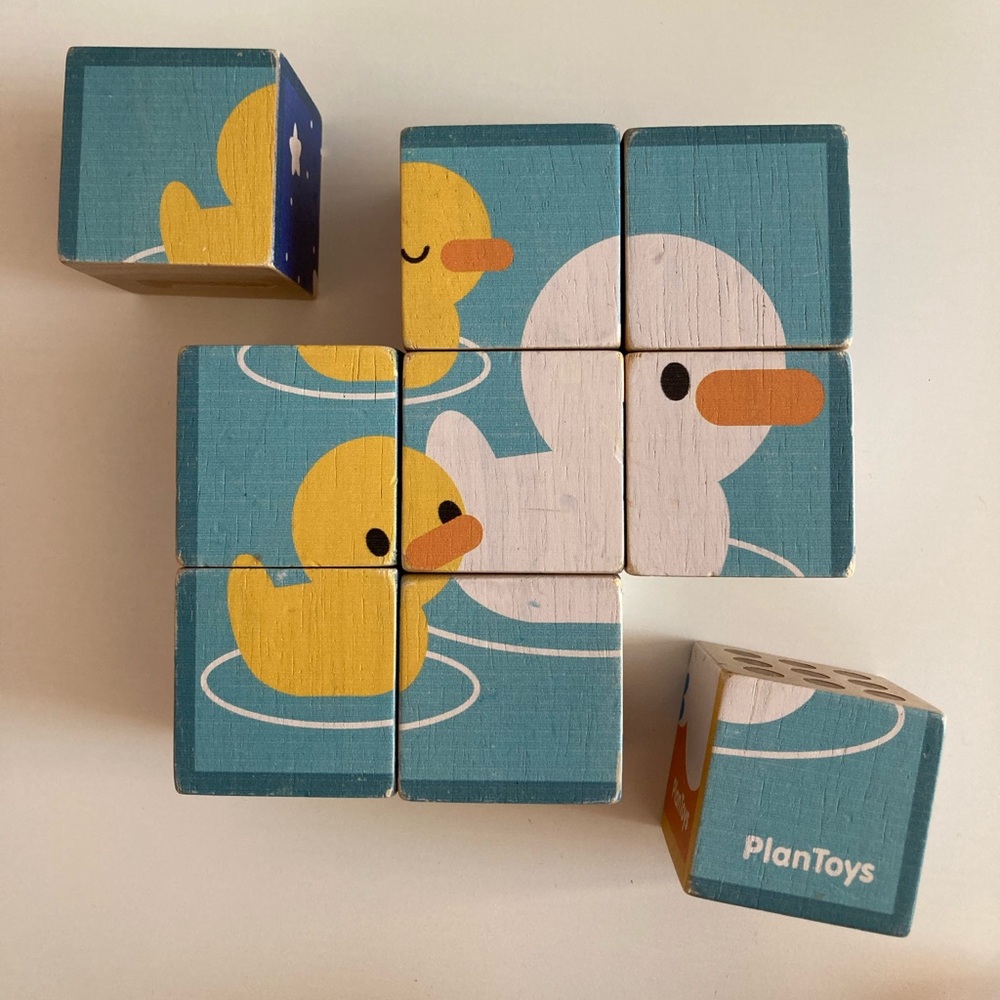 Plan Toys Puzzle Cubes
